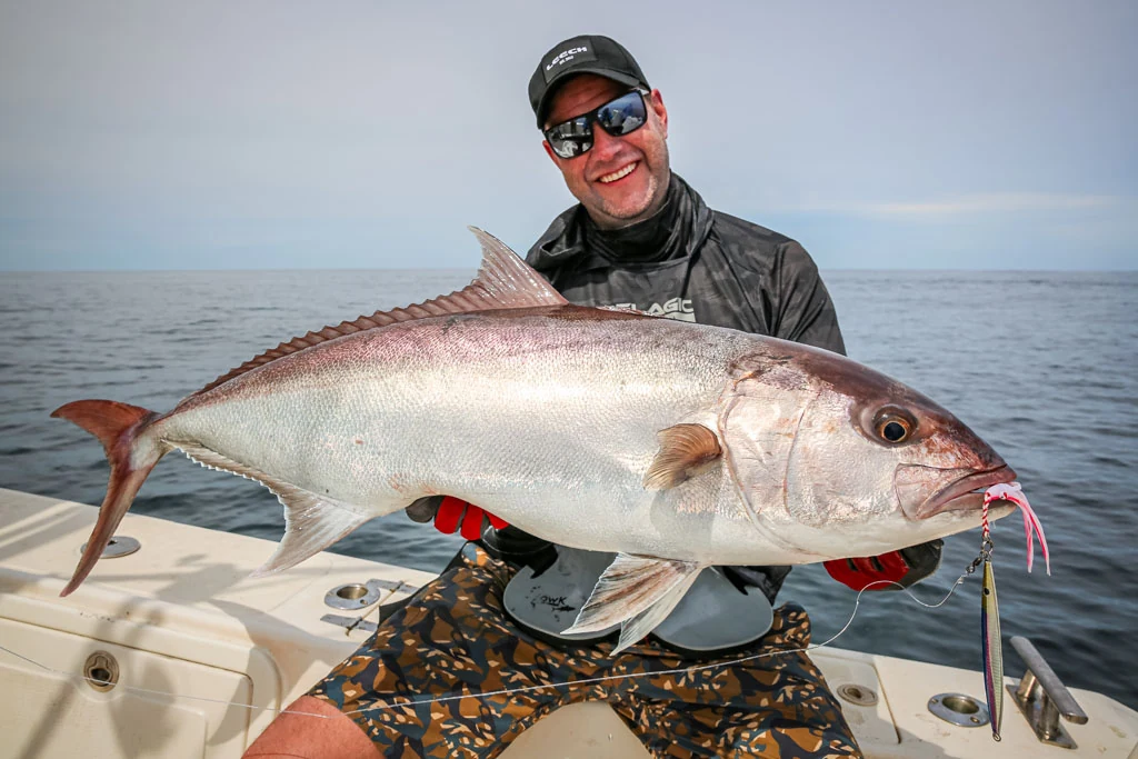 Amberjack auf Speedjig