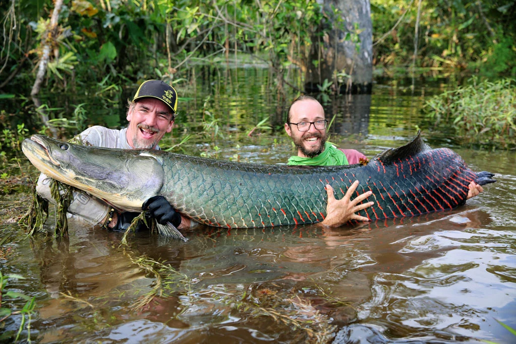 ecuador arapaima 06