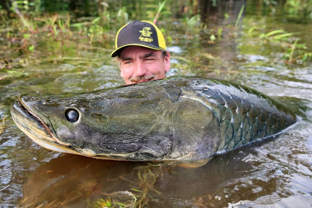 ecuador arapaima 10