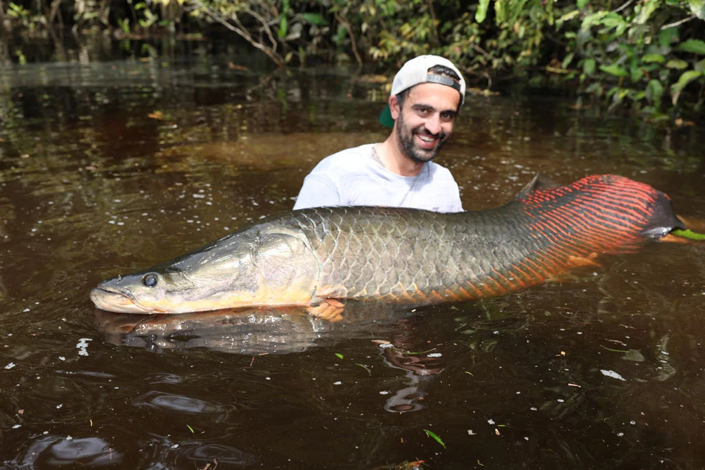 ecuador arapaima 11