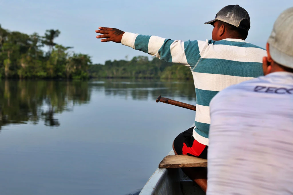 ecuador arapaima 158