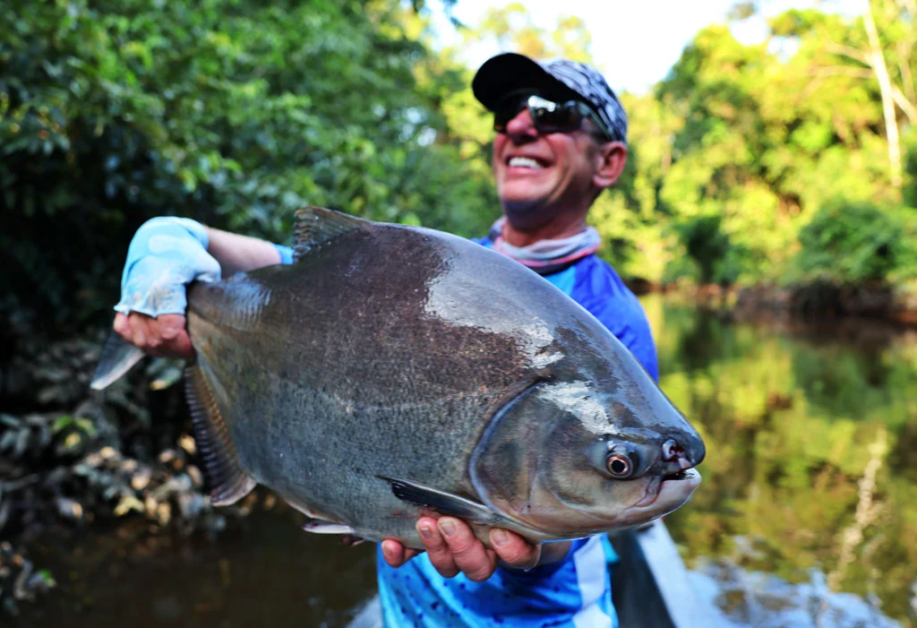 ecuador arapaima 288
