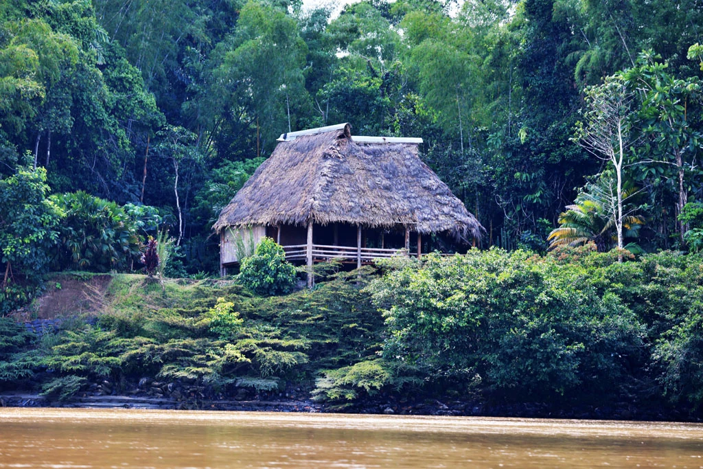 ecuador arapaima 30