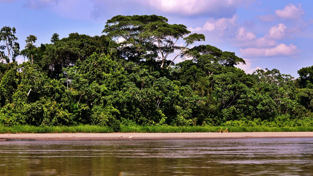ecuador arapaima 35