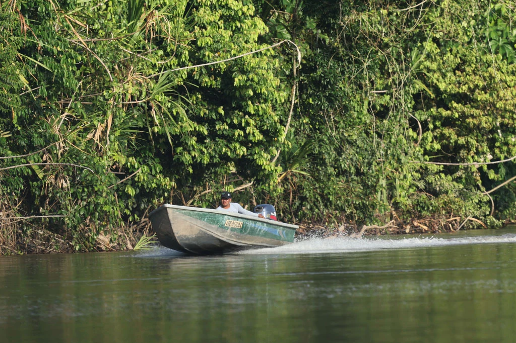 ecuador arapaima 58