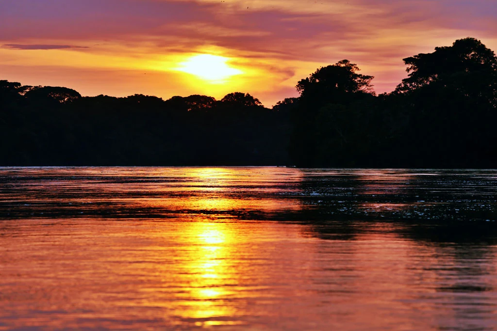 ecuador arapaima 67