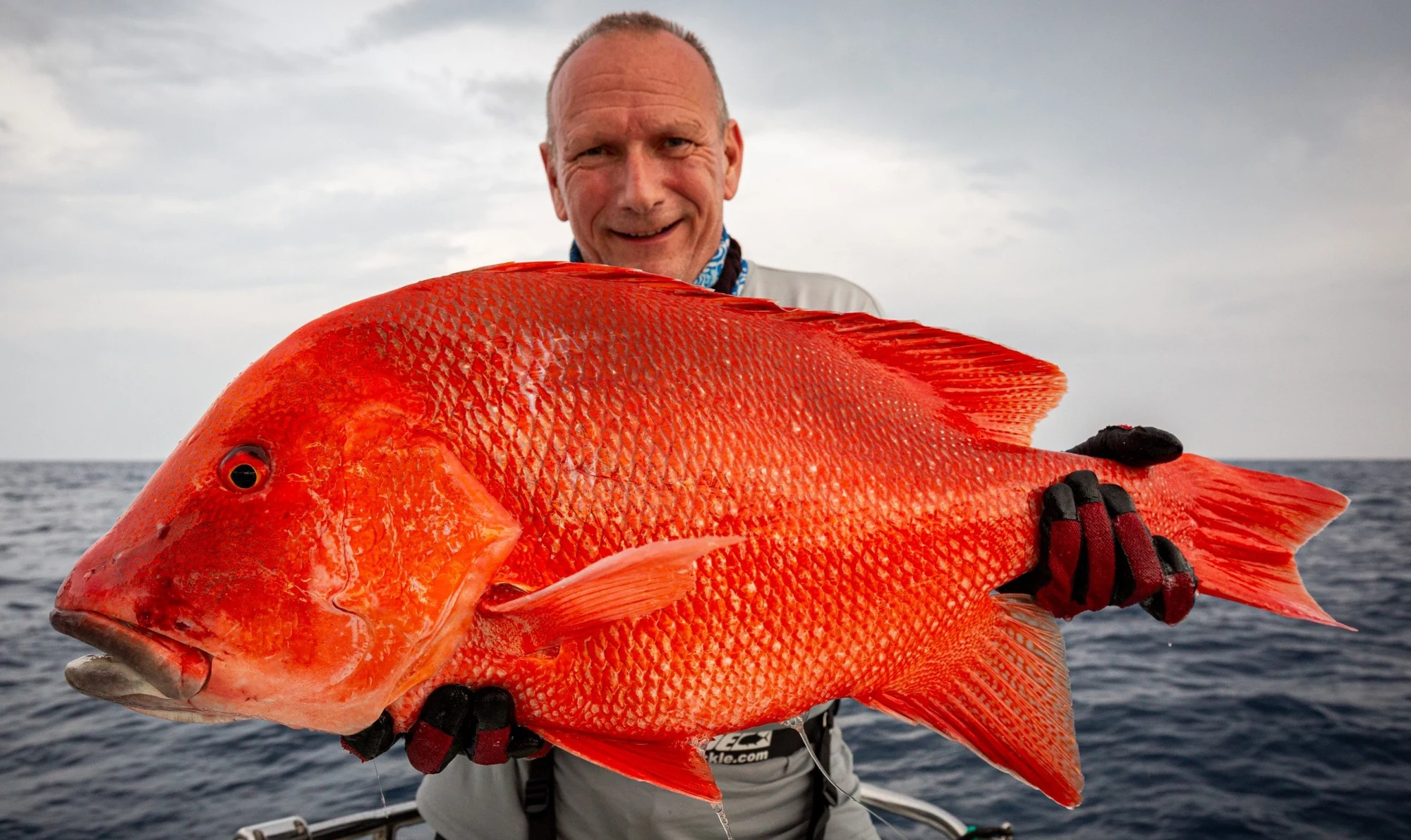 seychellen snapper 12 1 Seychellen Angelreise