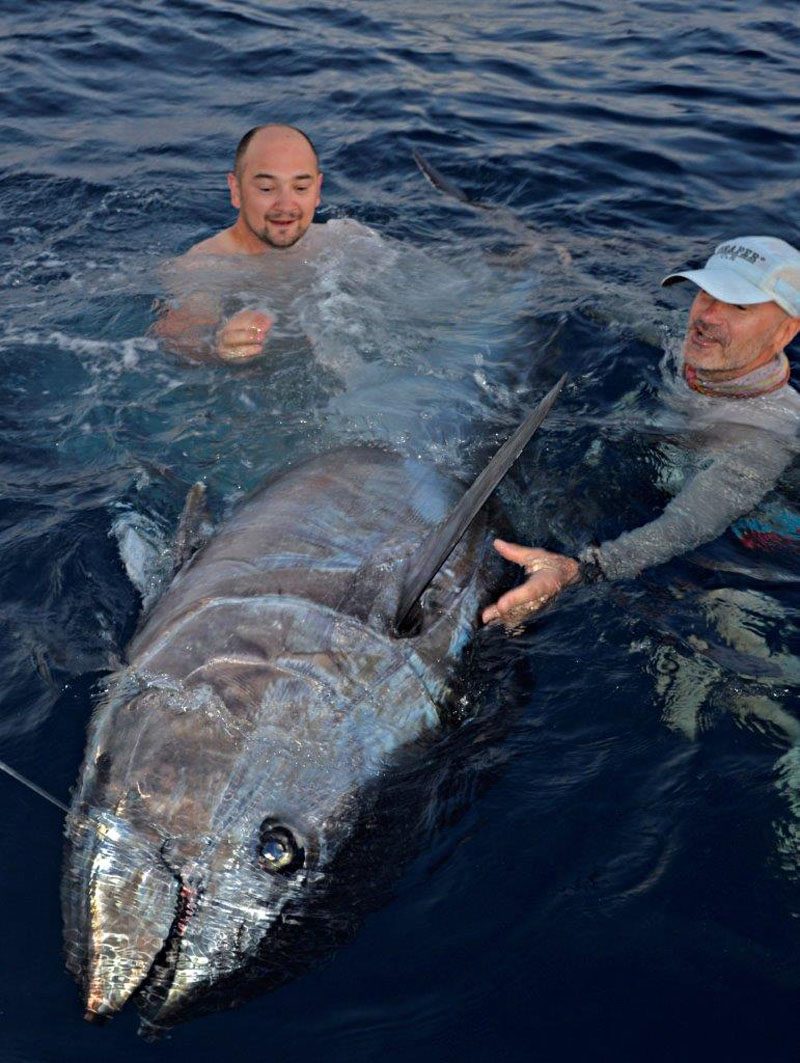 Big Bluefin 300kg 1bearb Europe