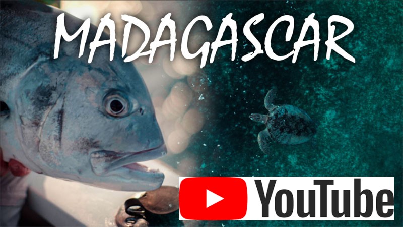 thumbnail Madagascar2