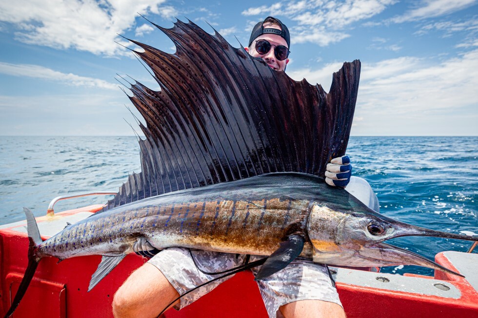 kuala rompin sailfish trips 980