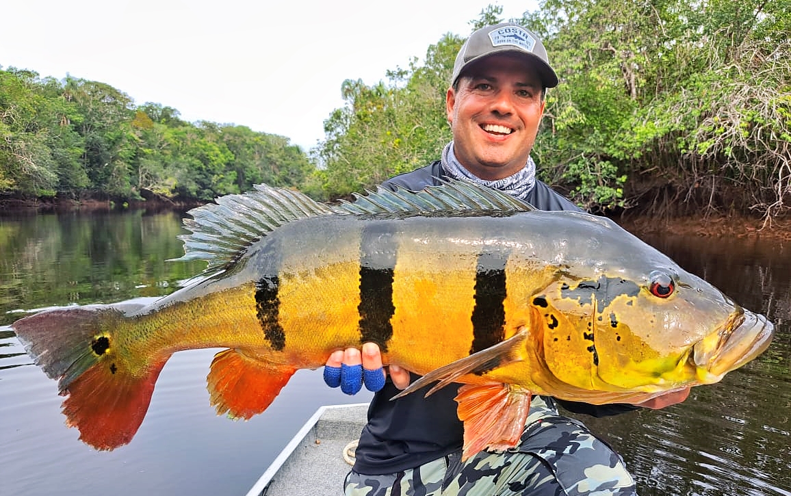 22 Peacock Bass over 80 cm! - Travel2Fish