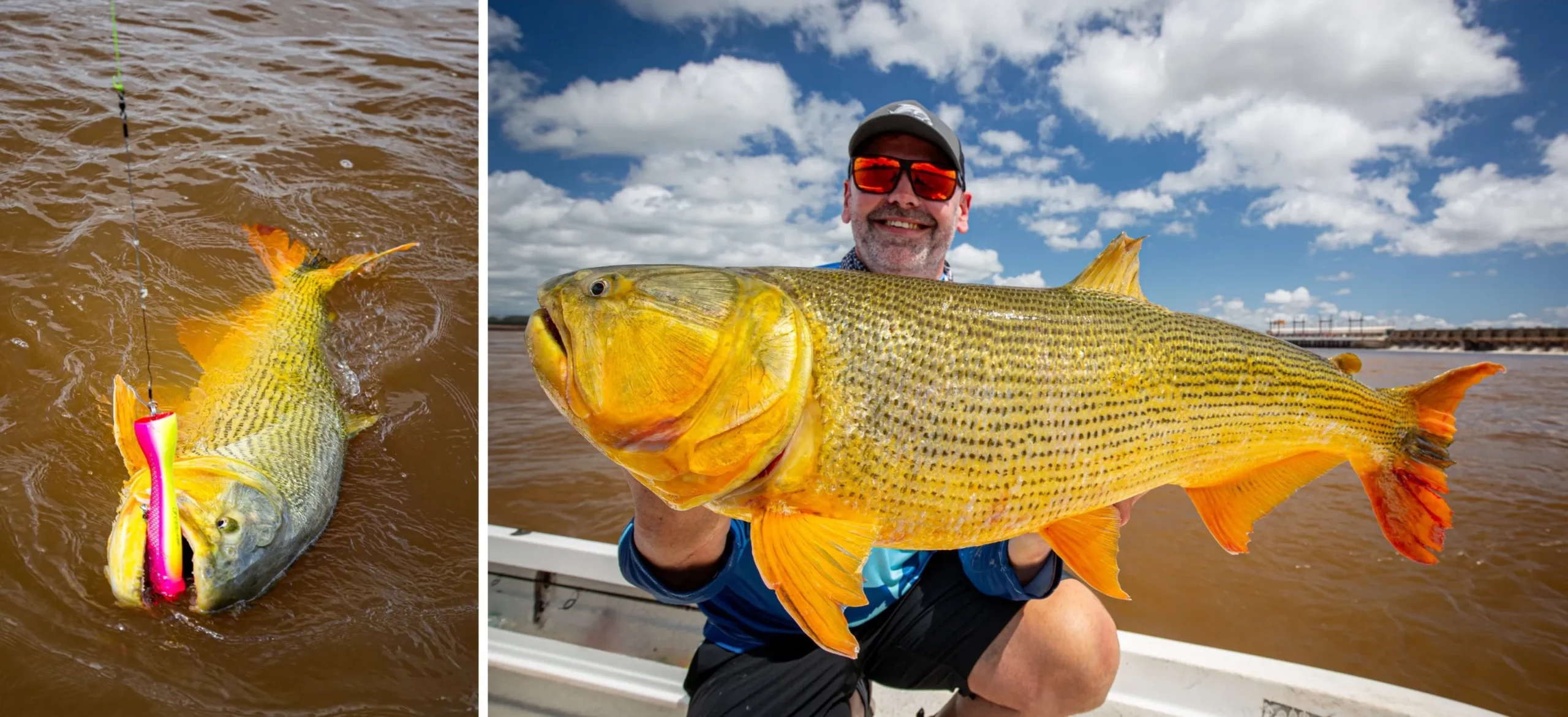 Argentinen Collage 1 3200 scaled 1 Argentina Fishing Holiday