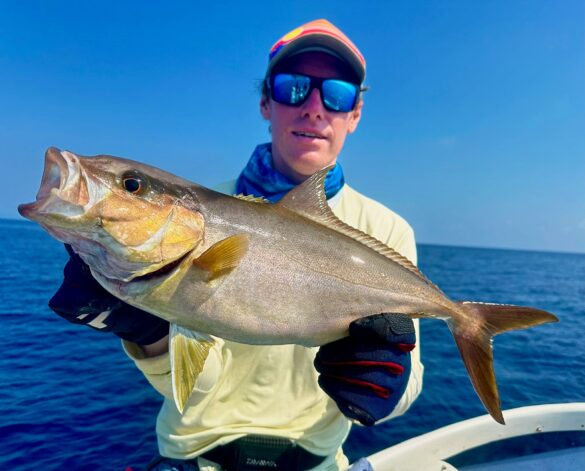 Costa Rica Amberjack