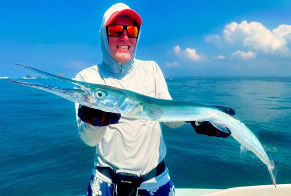 Costa Rica Needlefish