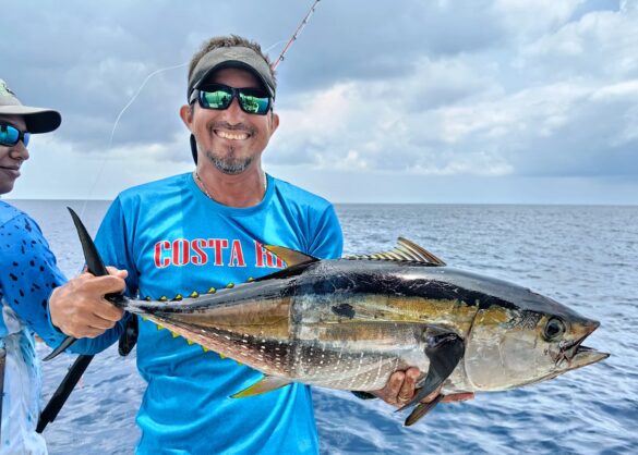 Costa Rica Yellowfin bearbeitet