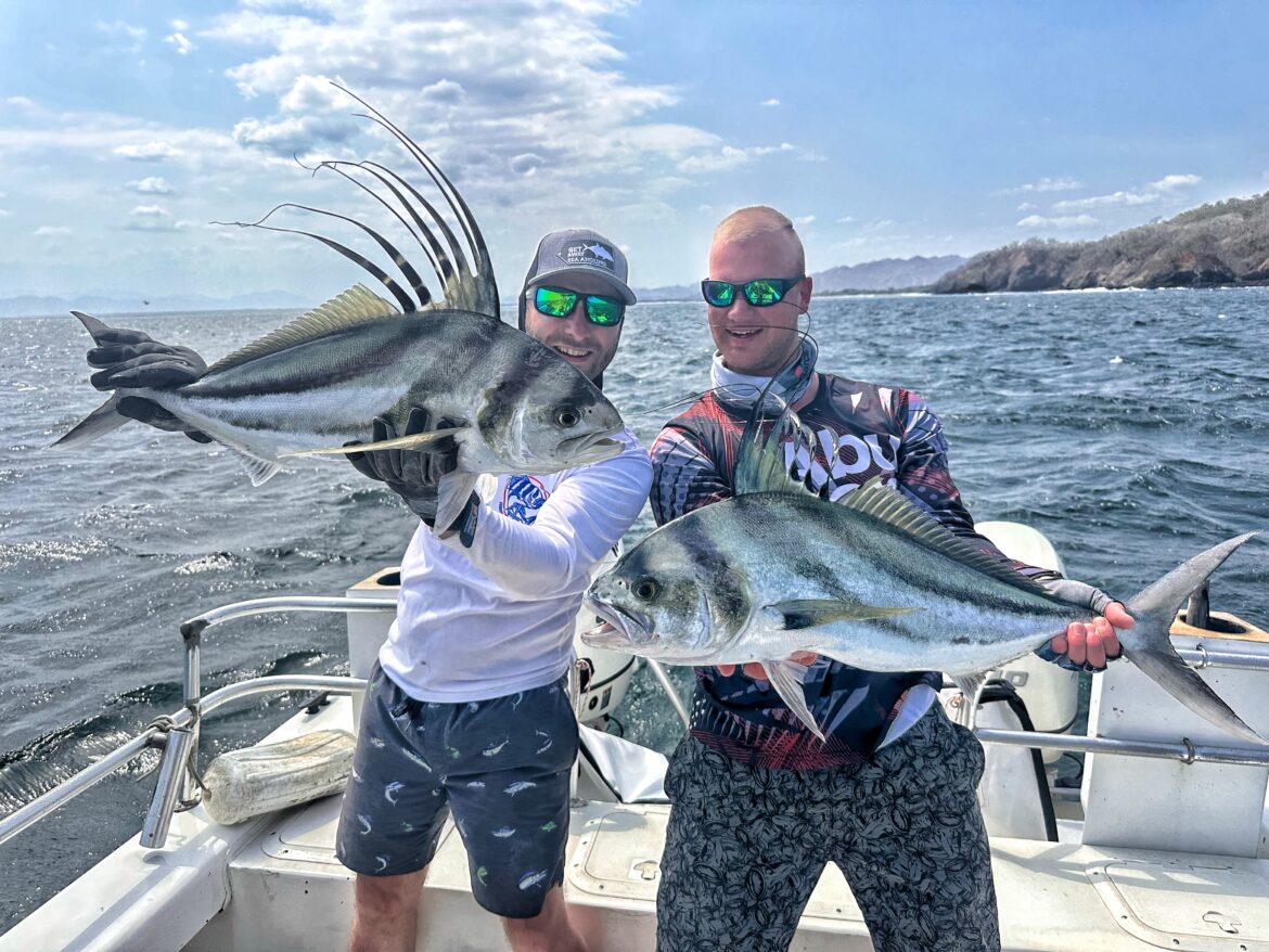 Panama rooster double