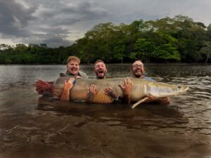 Giant Arapaima from Ecuador