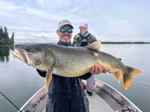 kanada laketrout 10