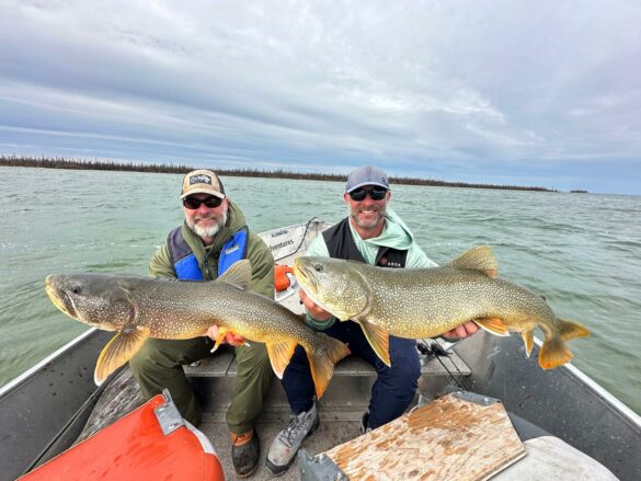 kanada laketrout 13