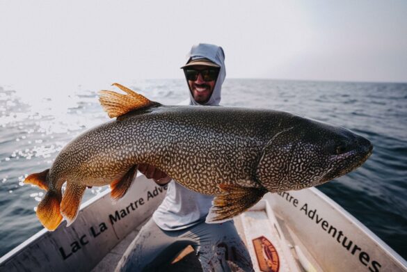 kanada laketrout 3