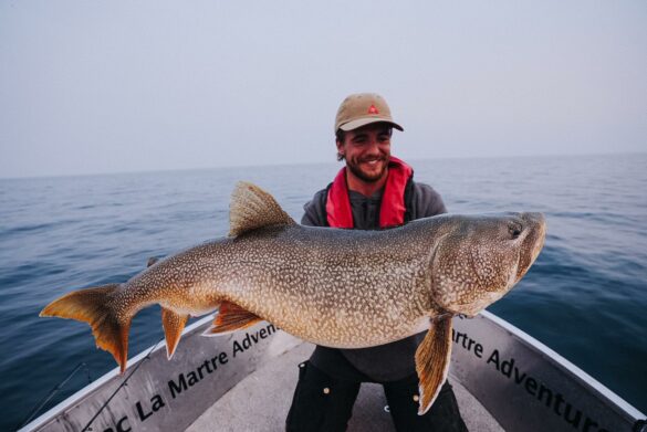 kanada laketrout 4