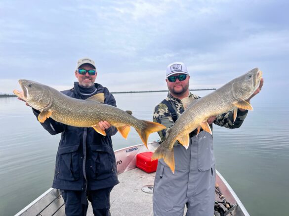 kanada laketrout 8