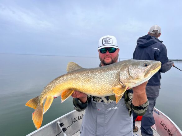 kanada laketrout 9