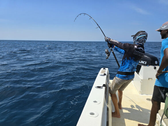 Dicker Giant Trevally im Drill.