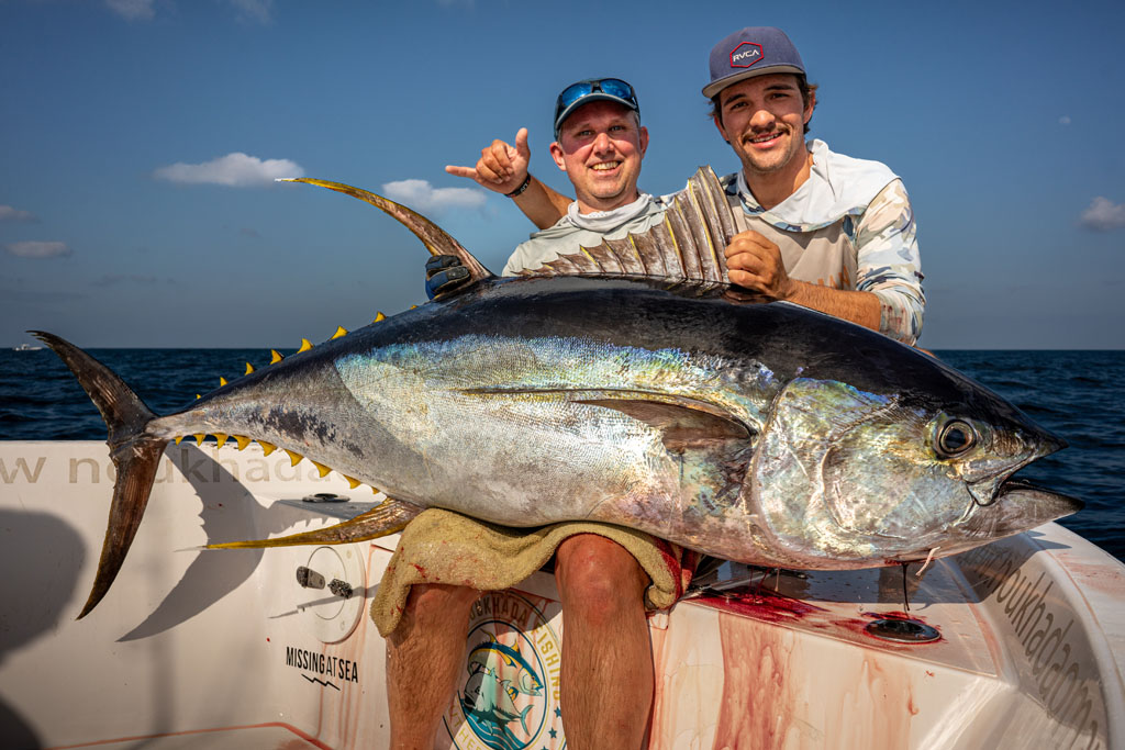 80 kg Yellowfin Tuna from Oman, Hallaniyat.