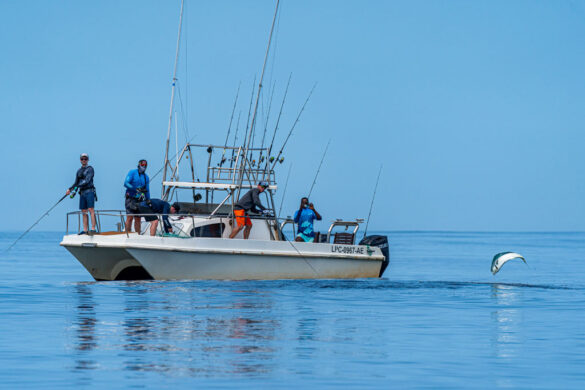 angola kwanza lodge casting 11