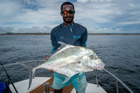 angola kwanza lodge casting 13