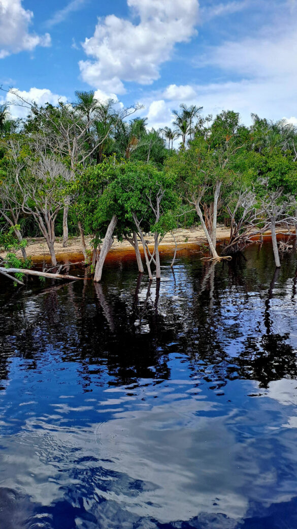 brasilien rio negro 43