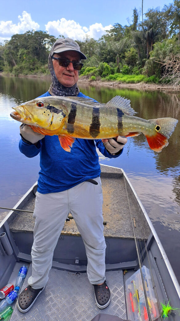 brasilien rio negro 47