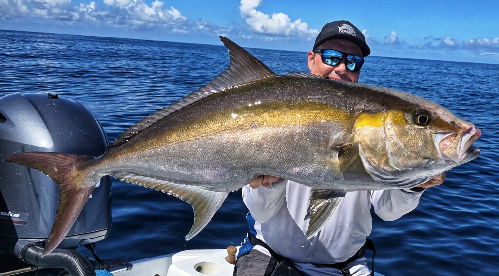 Amberjack beim Speedjigging