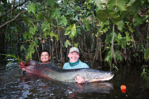 ecuador arapaima 02