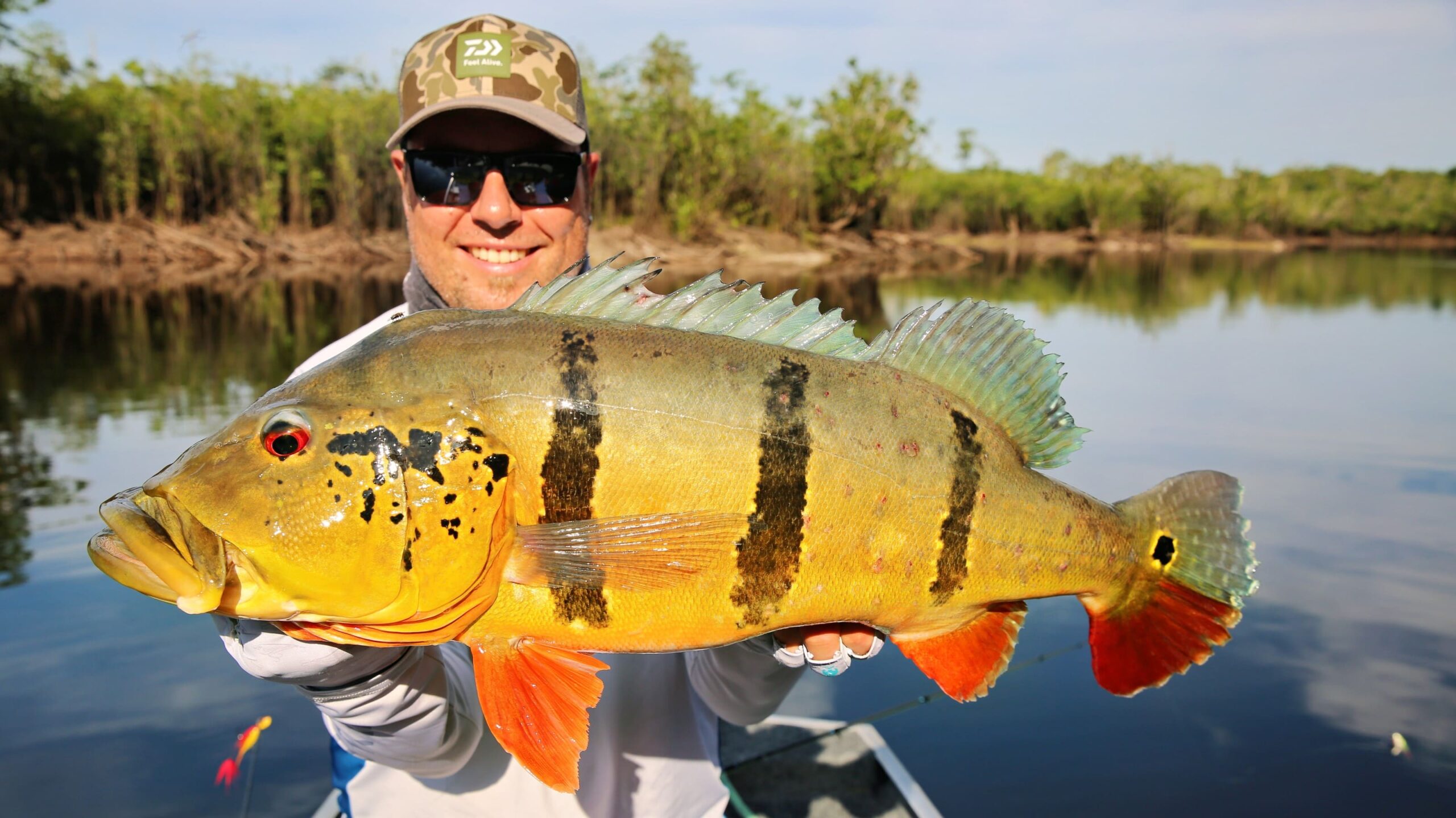 cichla temensis 3200 scaled peacock bass angeln